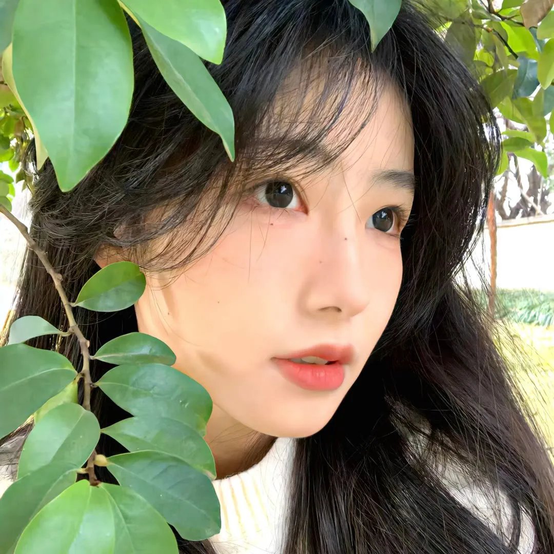 野良猫洛克:女番长