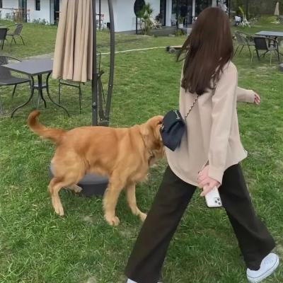 真爱